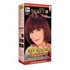 Silkey Tintura Key Kolor Premium Kit 5.66